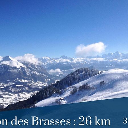 Homey The Nest - New / Balcon Prive / Free Parking Annemasse Eksteriør bilde